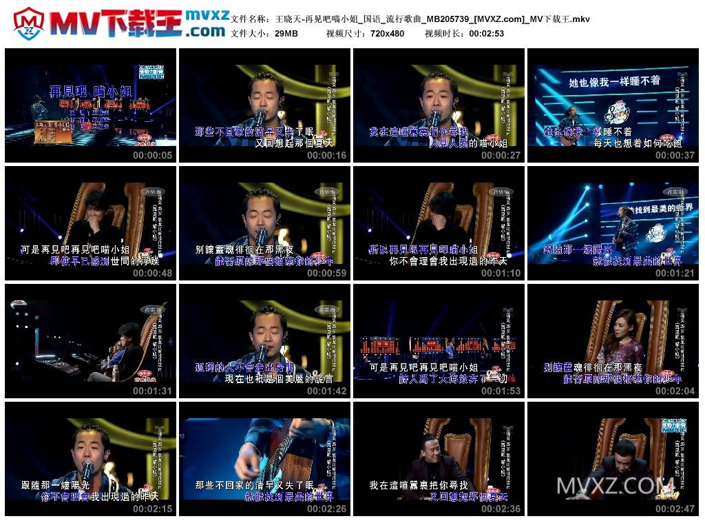 王晓天-再见吧喵小姐_国语_流行歌曲_MB205739